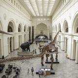 Field Museum