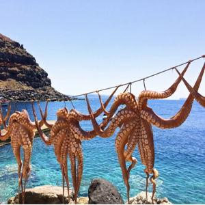 Greek water front lunch