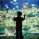 North Carolina Aquarium at Fort Fisher