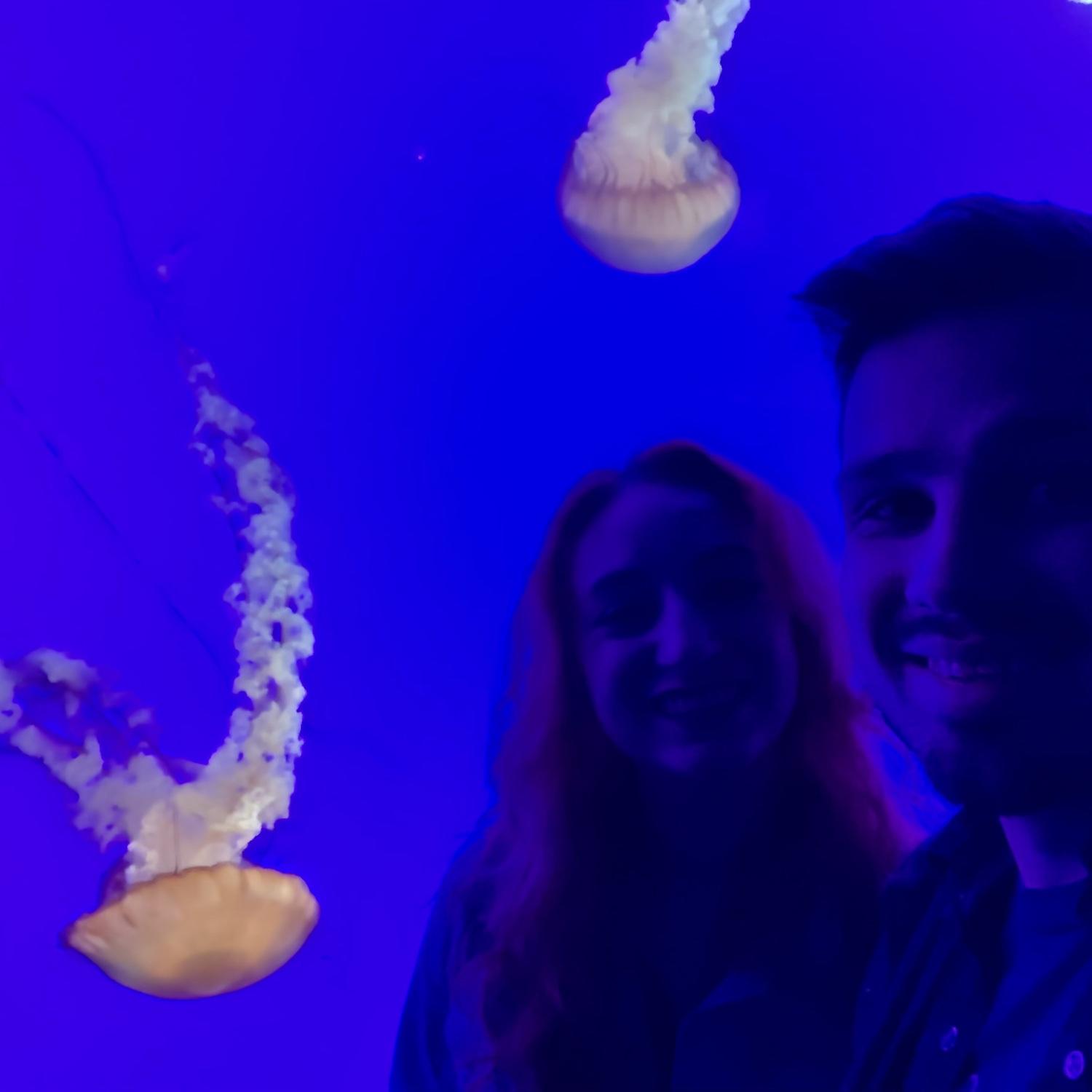 Ripley’s Aquarium of Canada, 2022