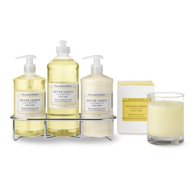 Williams Sonoma Meyer Lemon Ultimate Set, Classic, Stainless-Steel