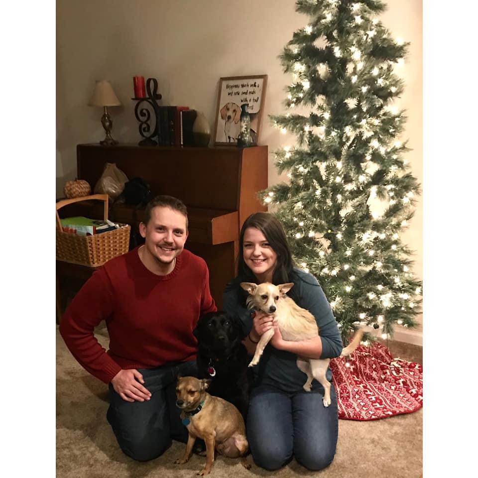 The one time we got all the puppies to sit still in the same picture!