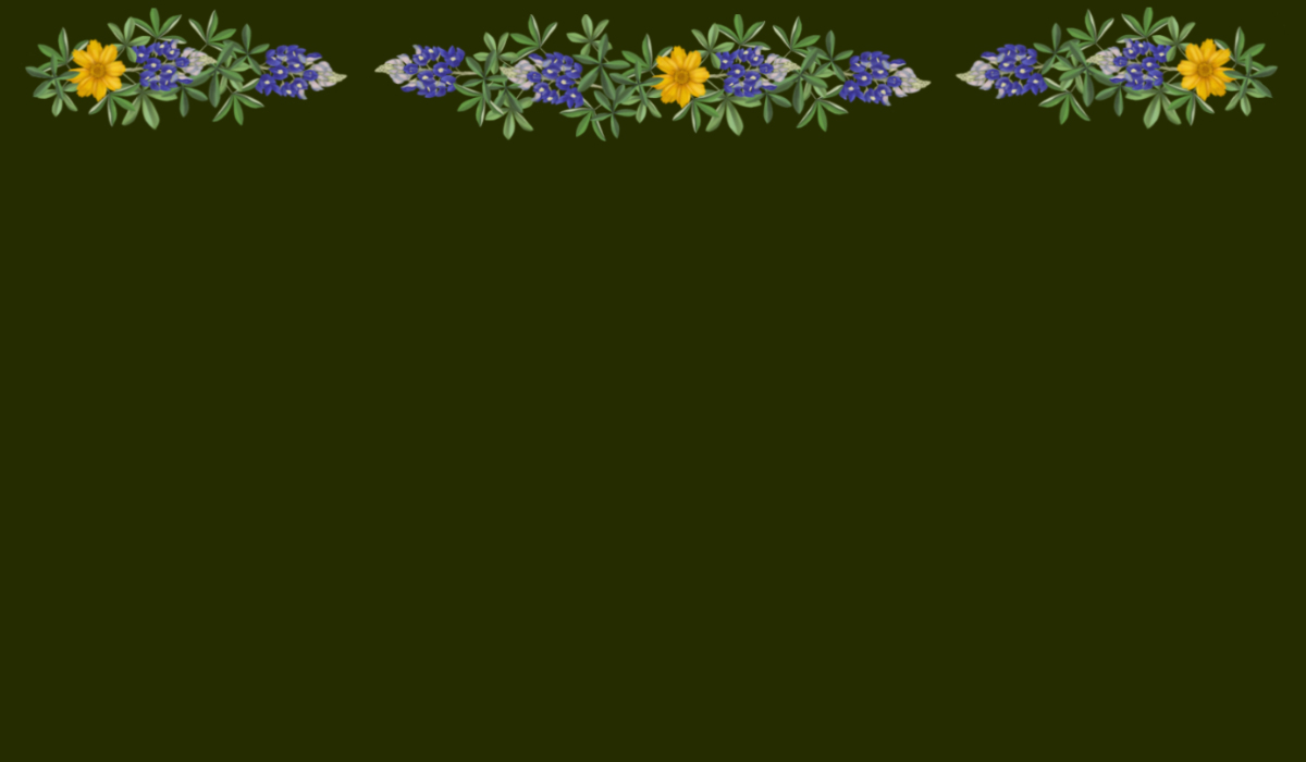 Footer image