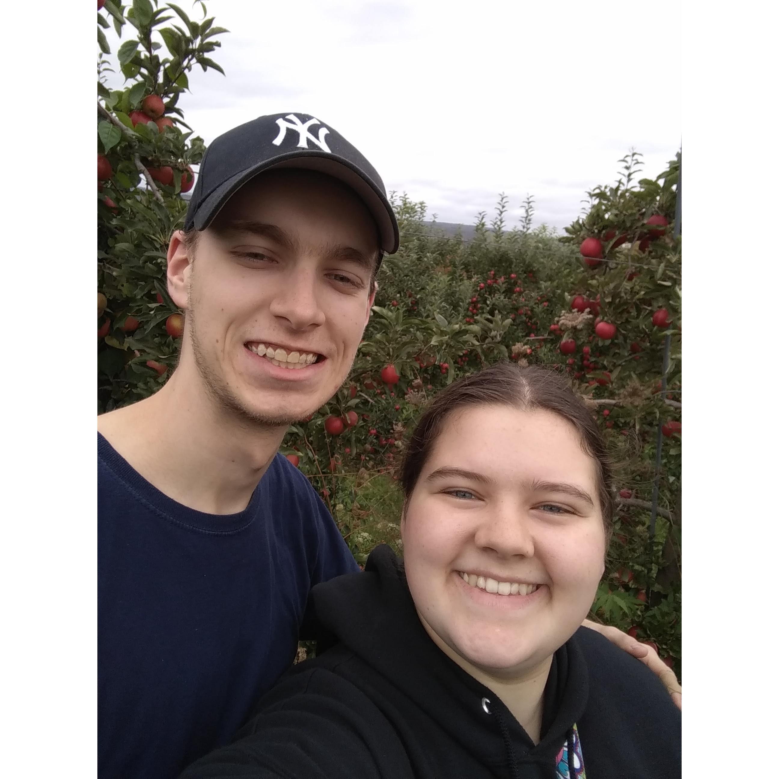 Look at those apples!