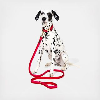 Dog Leash