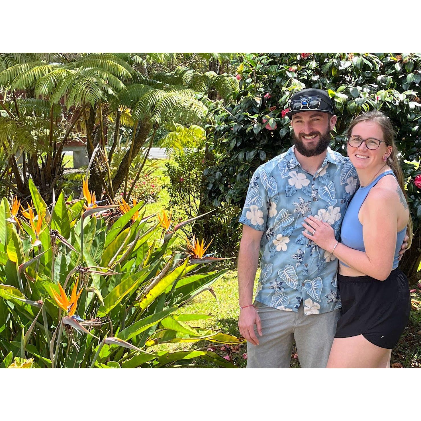 Hawaii March 2023