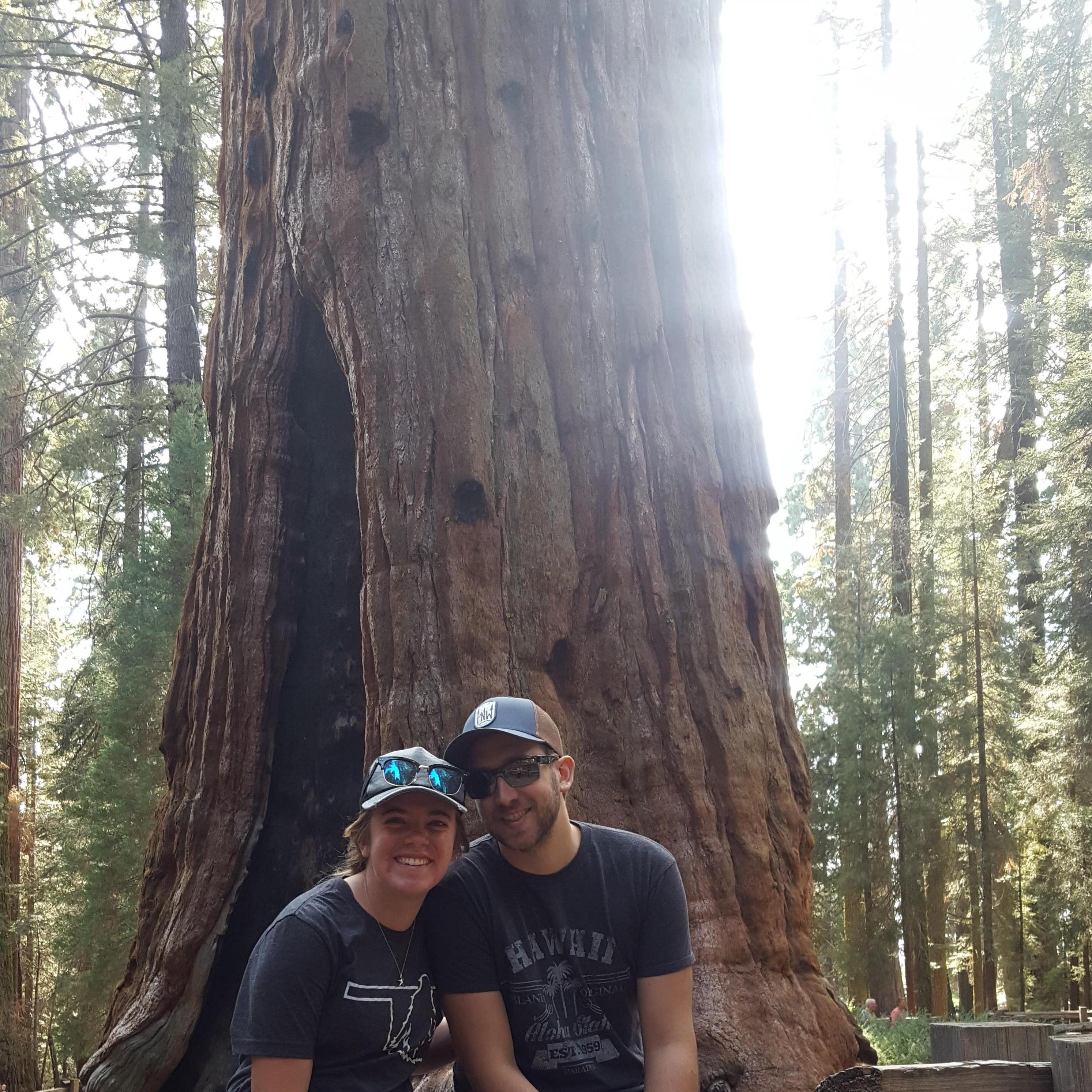 Sequoia National Park 2017