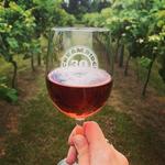 Cream Ridge Winery