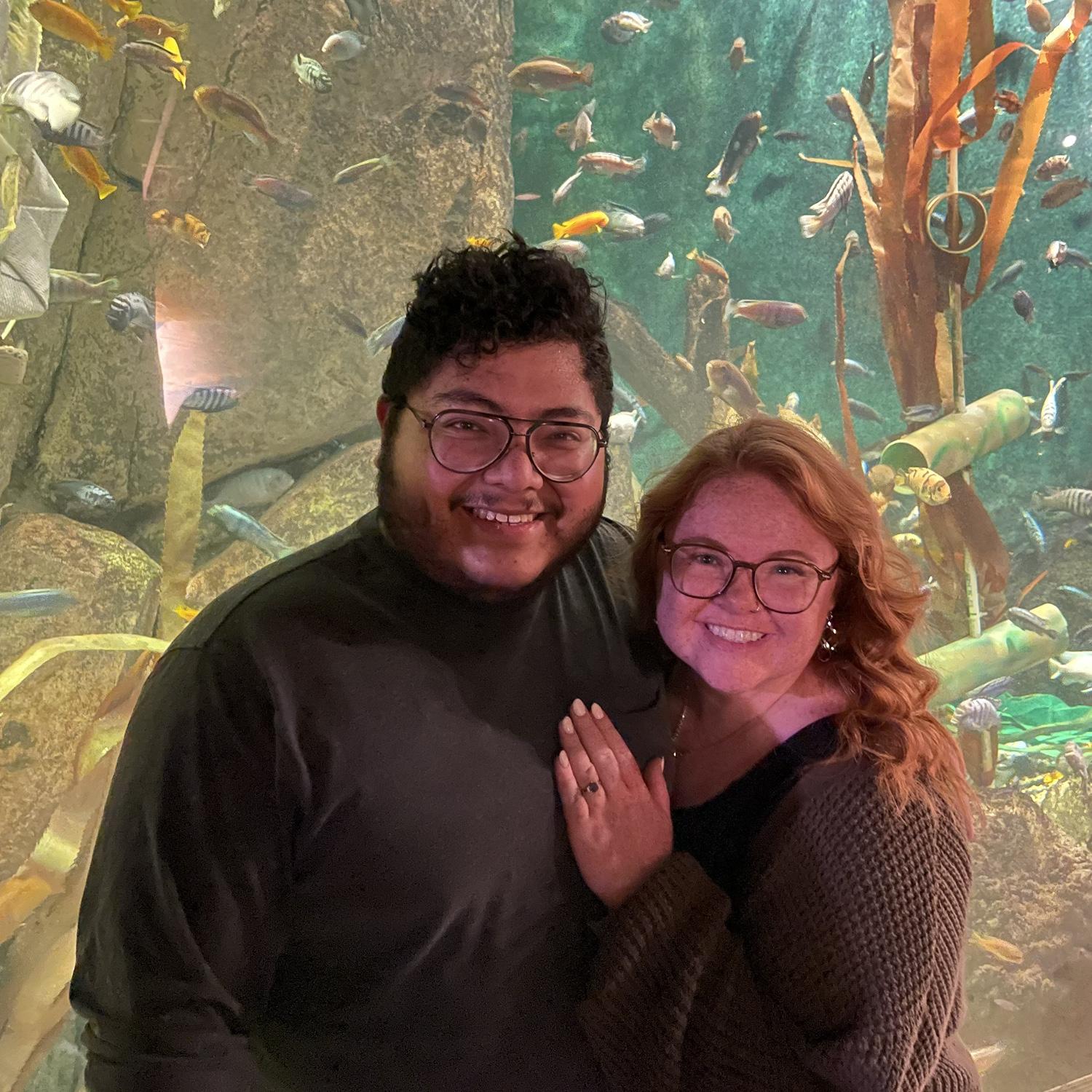 At Lincoln Park Zoo!