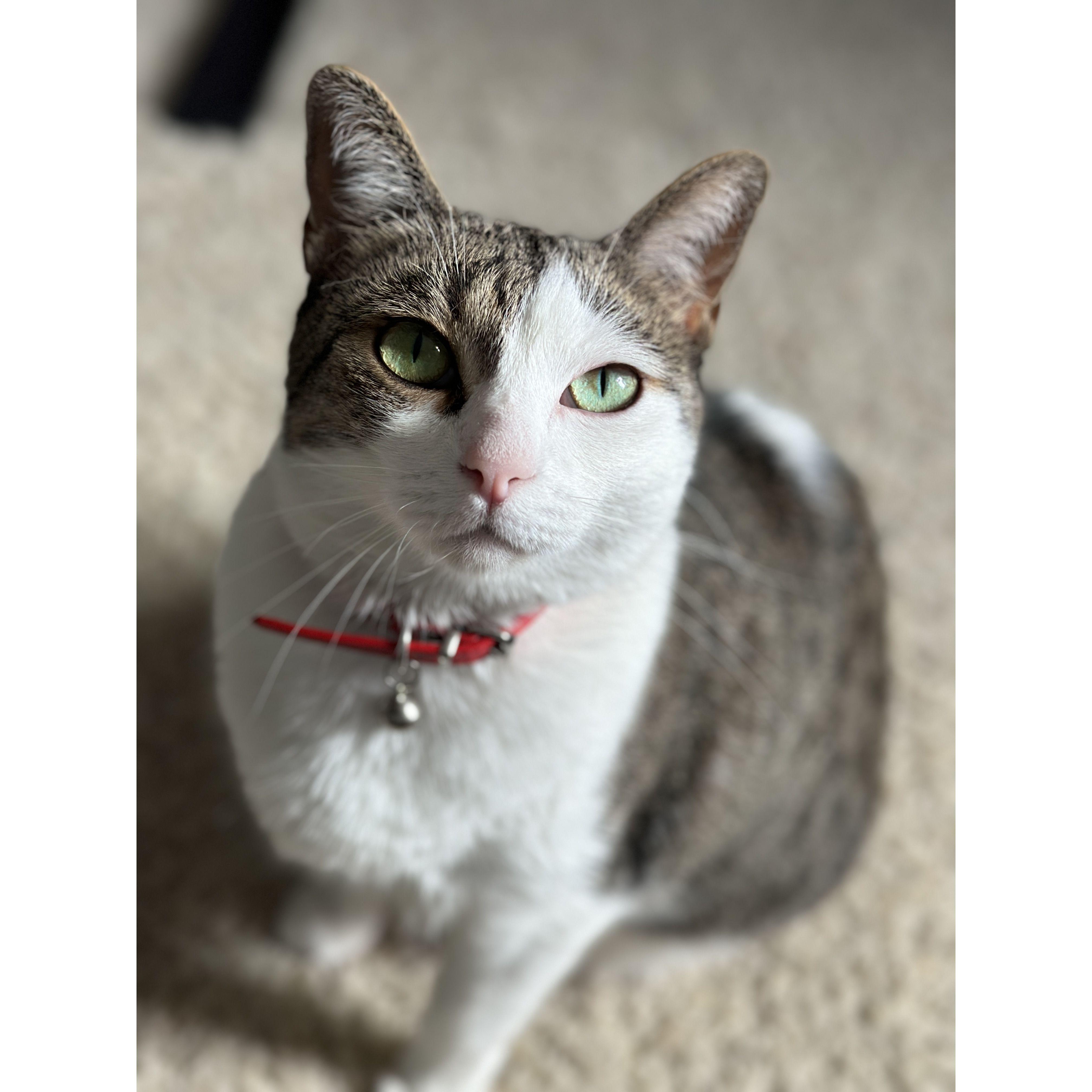 This is Aspen- the one most loyal to Sandy.