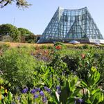 San Antonio Botanical Garden
