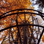 Smugglers' Notch Disc Golf Center