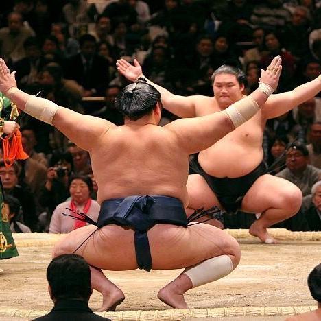 Lunch + Sumo Match