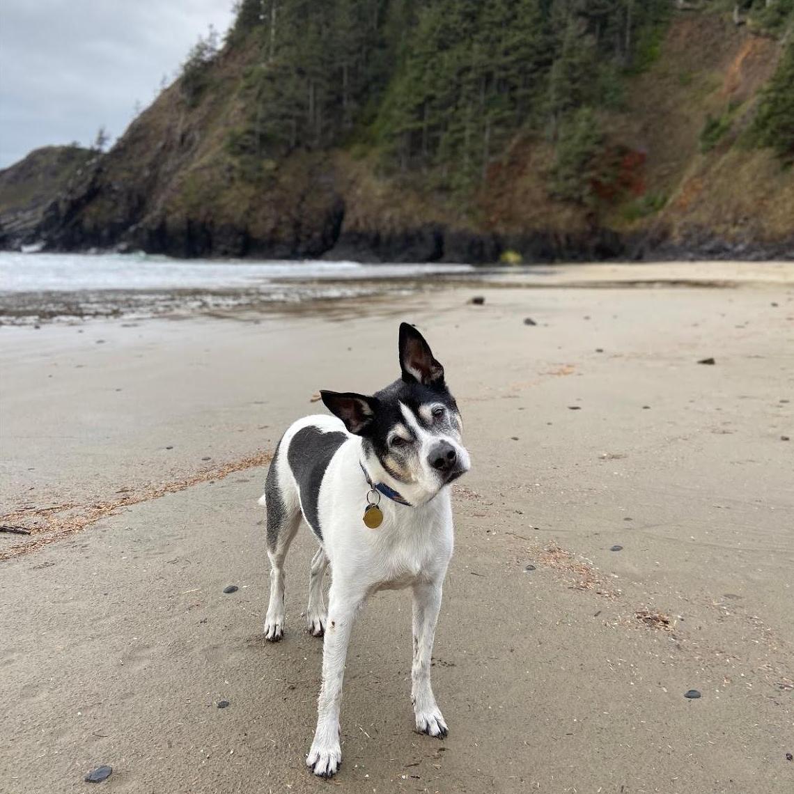 Somewhere near where we're getting married!