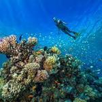 Wet Set Diving and Snorkeling Adventures Scuba Shop