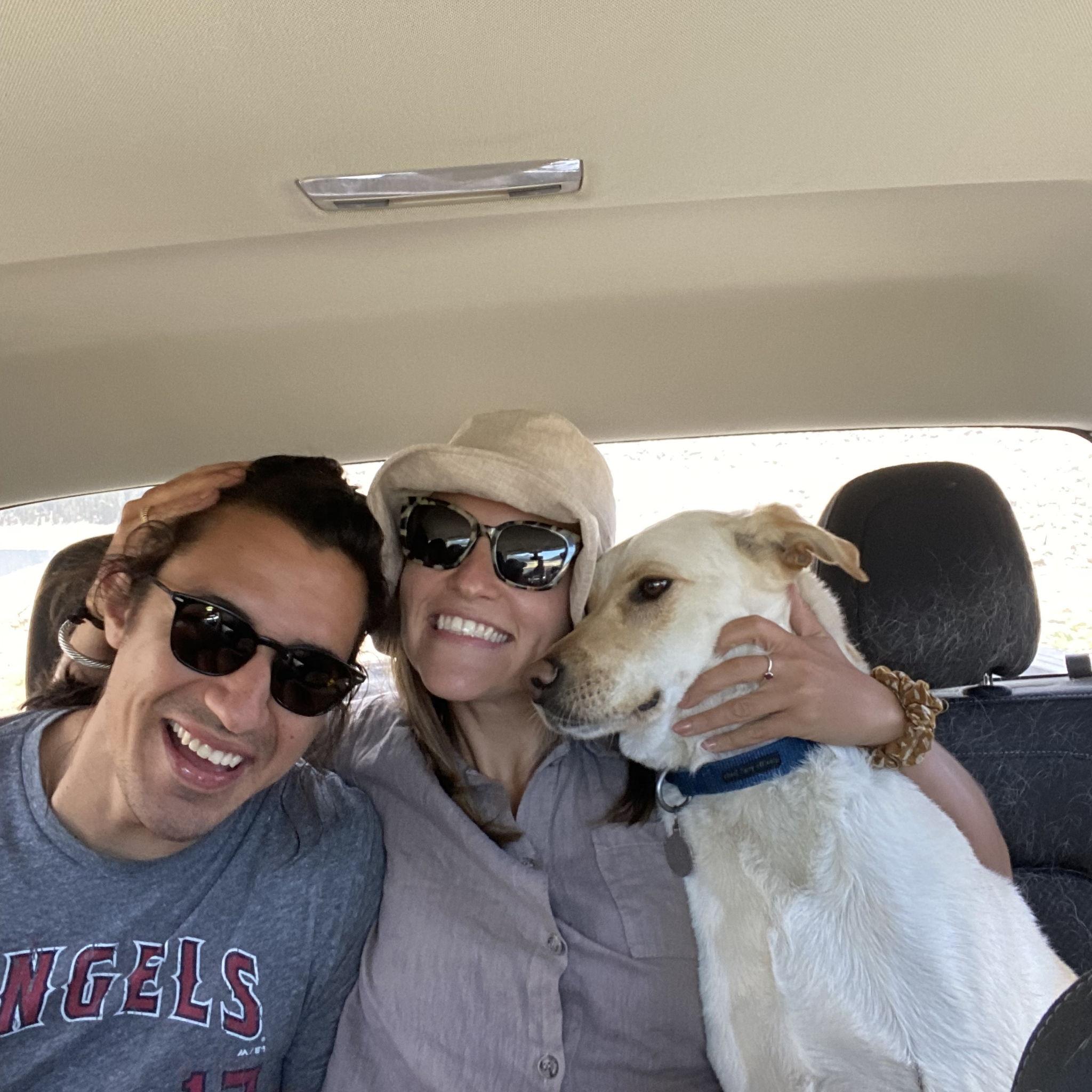 Road tripping to camp in the Sierras with our second favorite dog, Homer