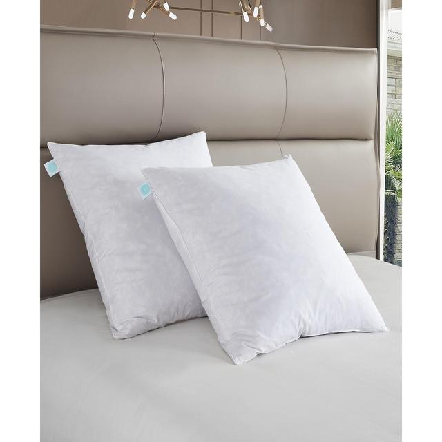 Martha Stewart European-Square Feather Firm Pillow, Set of 2