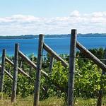 Leelanau Peninsula Wine Trail