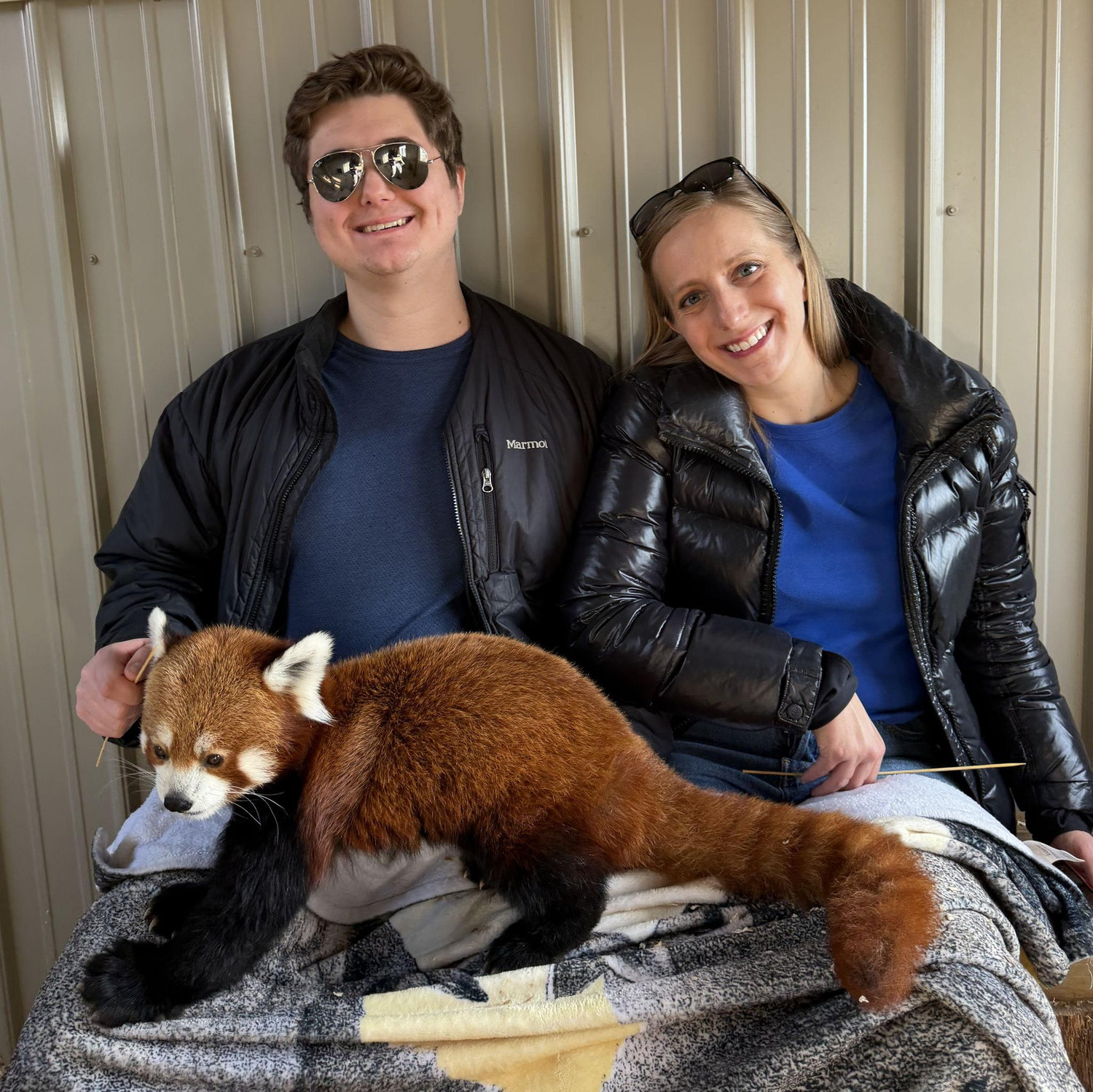 Red Panda Experience - Timbavati Wildlife Center, Wisconsin (Valentine's Day 2026)
