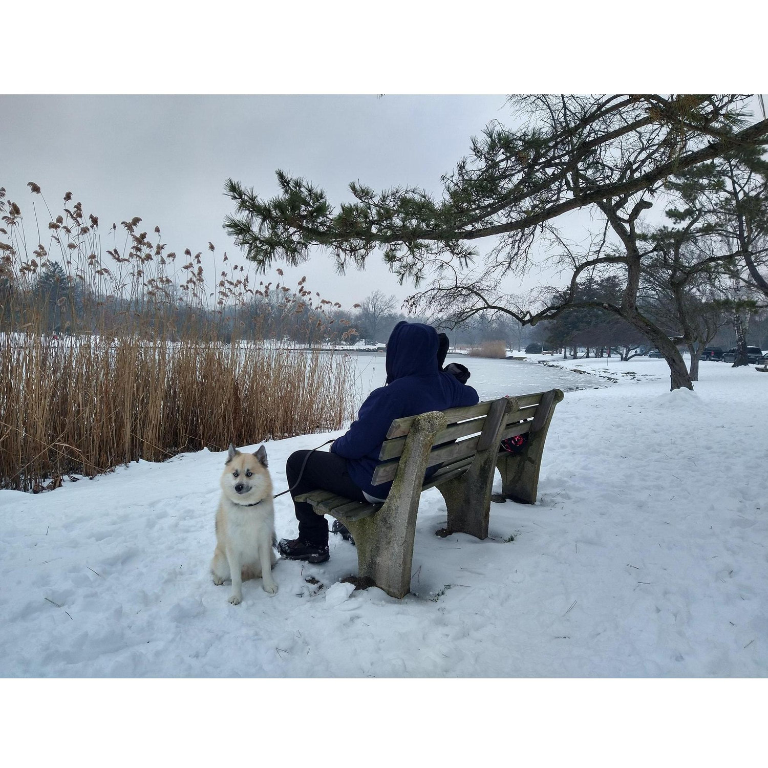 A wonderful winter wonderland picture taken by one of my really wonderful future sister-in-law.