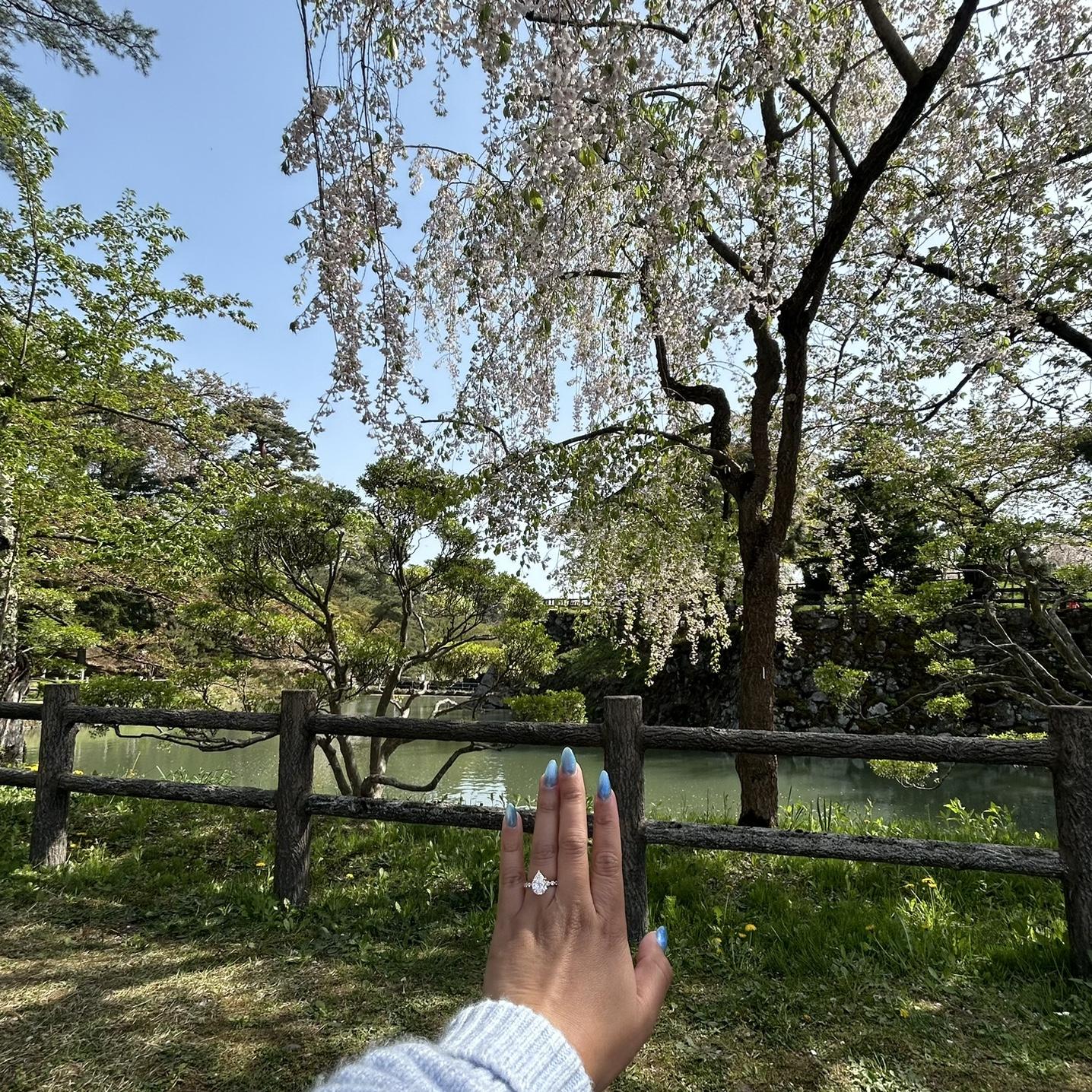 Aomari, Japan