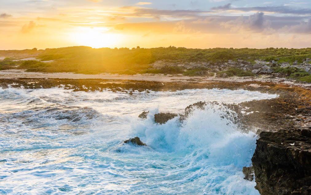 c6620928-adba-4389-969c-8e609ca0a4bb