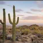 South Mountain Parkway
