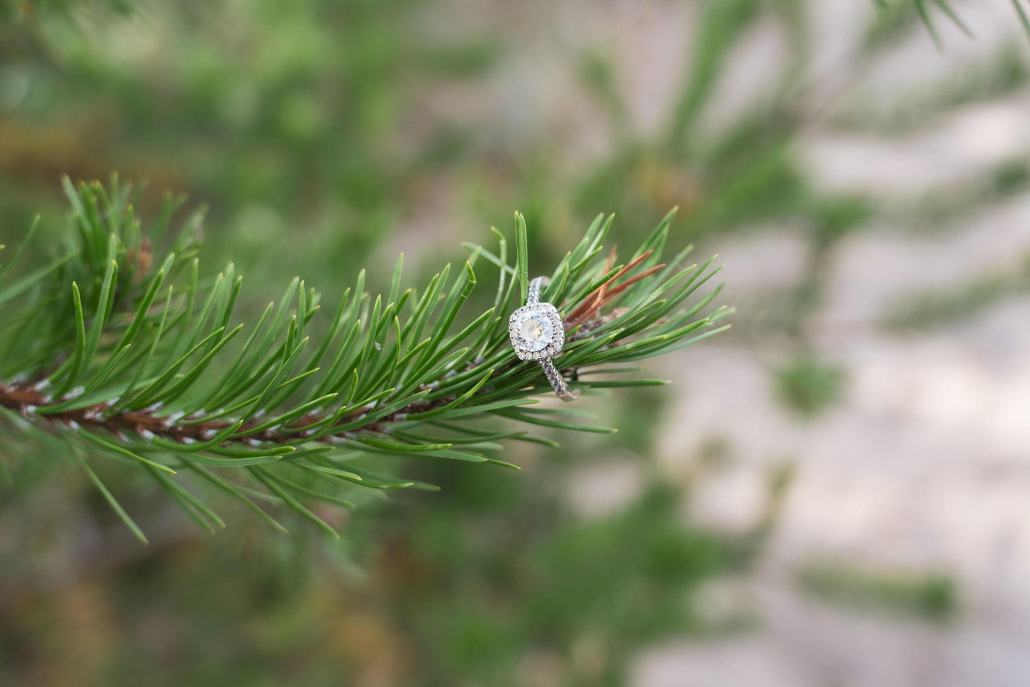 The Wedding Website of Brooke Gagnon and Arthur Standlick IV