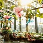 Juniper - Greenville