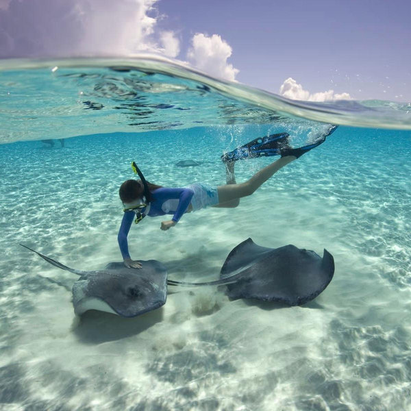 Honeymoon Swim with Stingrays