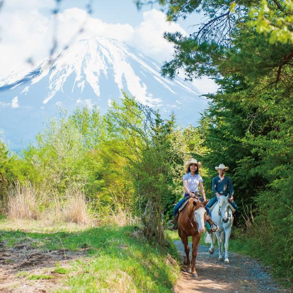 Lake Kawaguchi Horseback Riding