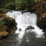 Whatcom Falls Park