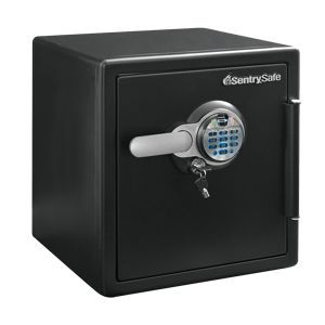 Sentry Safe