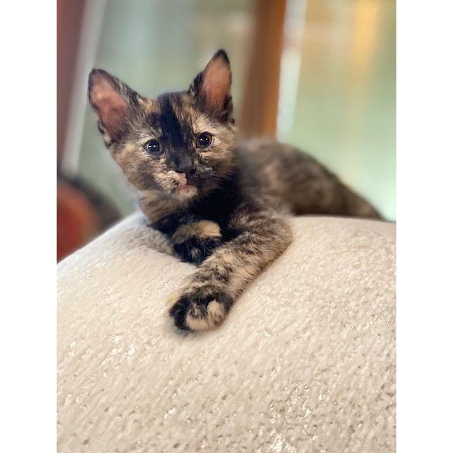 Our first baby