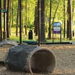 Bringle Lake Park East
