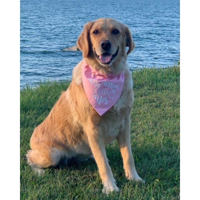 Meet Ellie! She was very excited when her mom said "yes!"