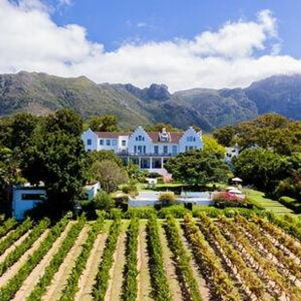 A trip to the winelands in Cape Town