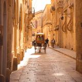 Spend a day exploring Mdina (also known as the silent city)