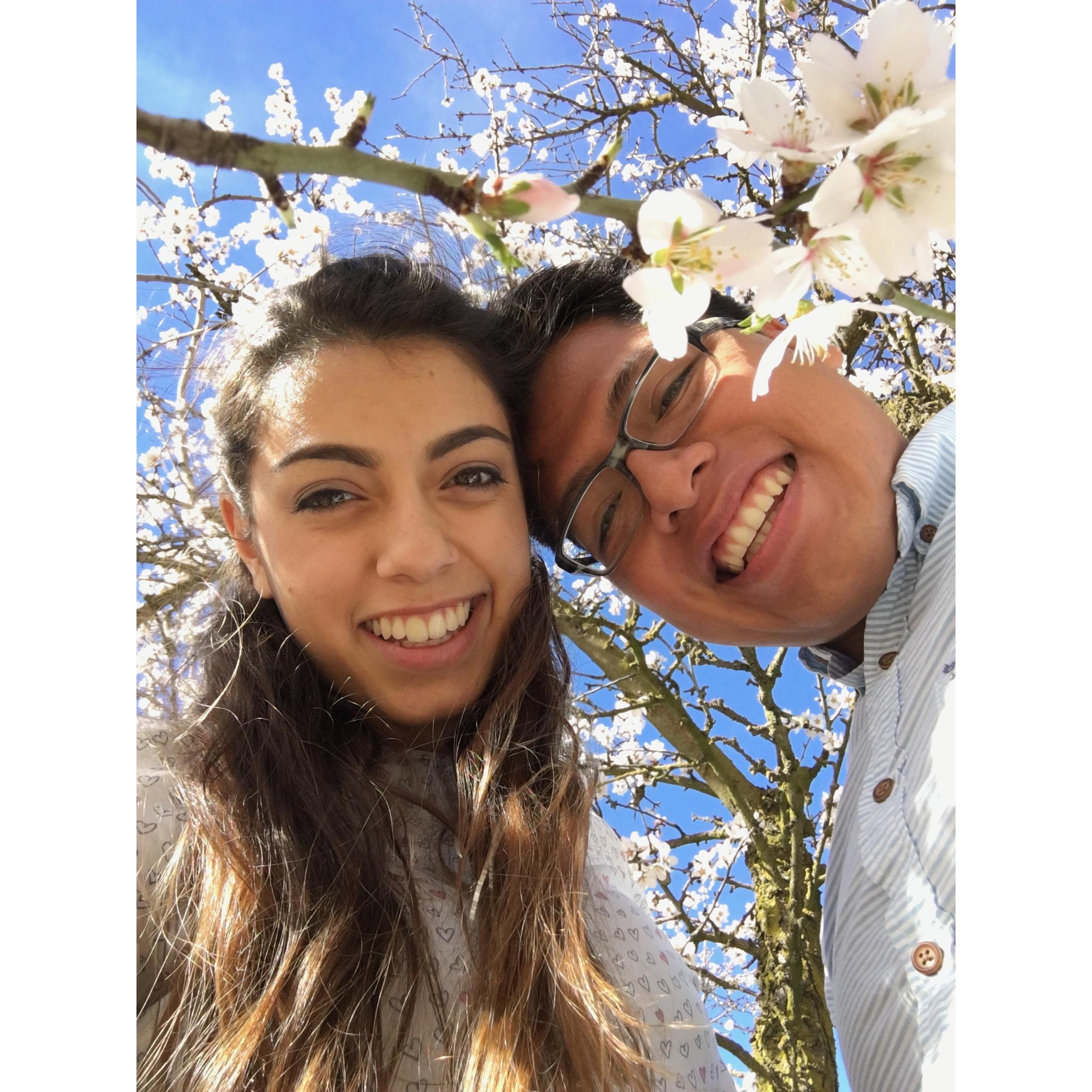 Valentine's 2016