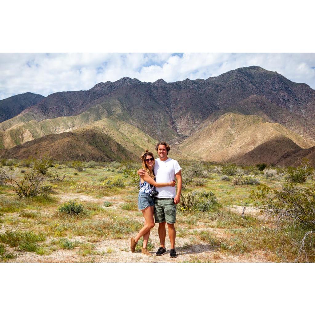 Borrego Springs, March 2017