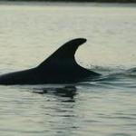 Coastal Expeditions on Shem Creek