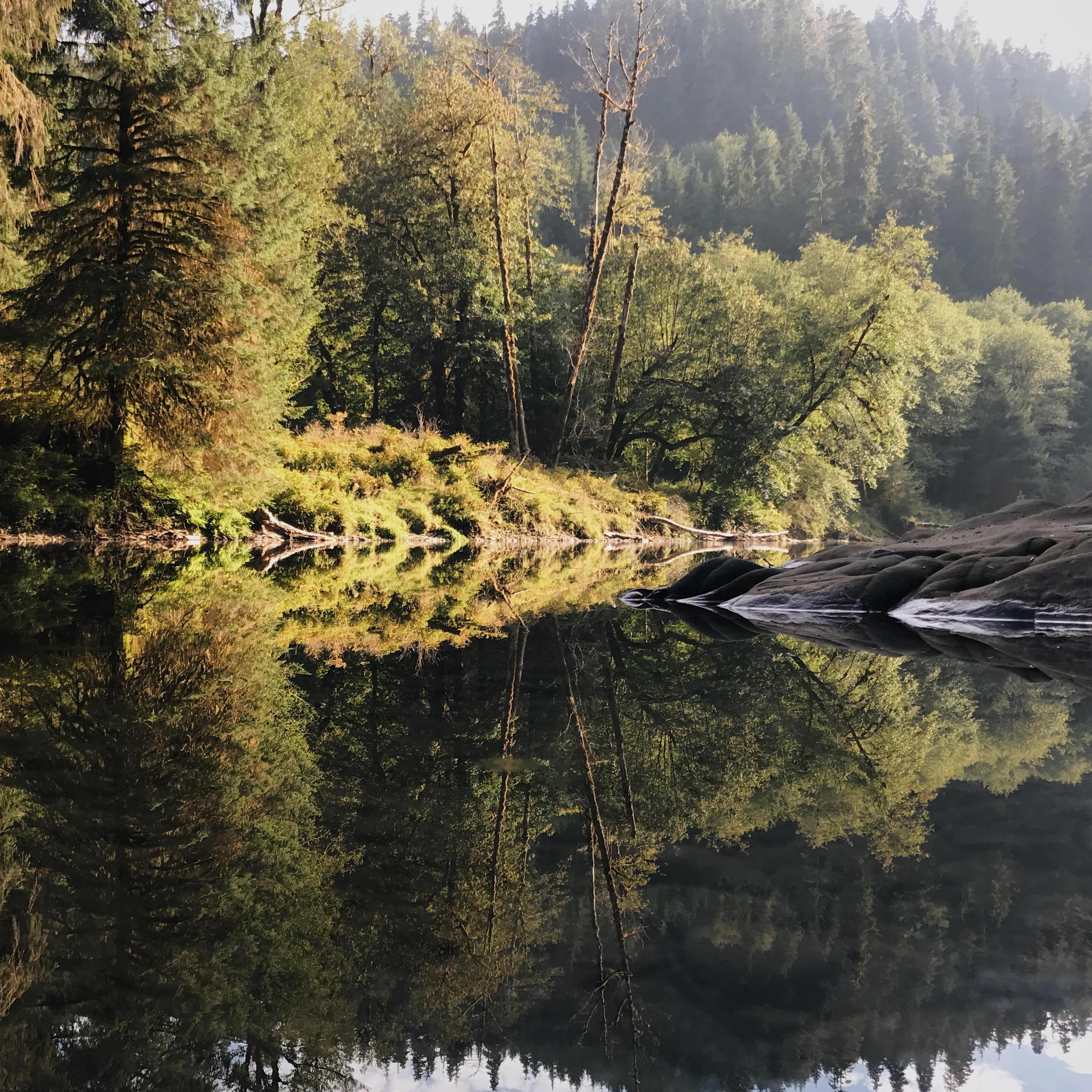 Forks, WA