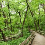 Fontenelle Forest