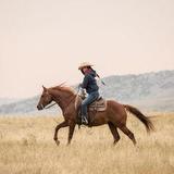 Horseback Riding Adventures
