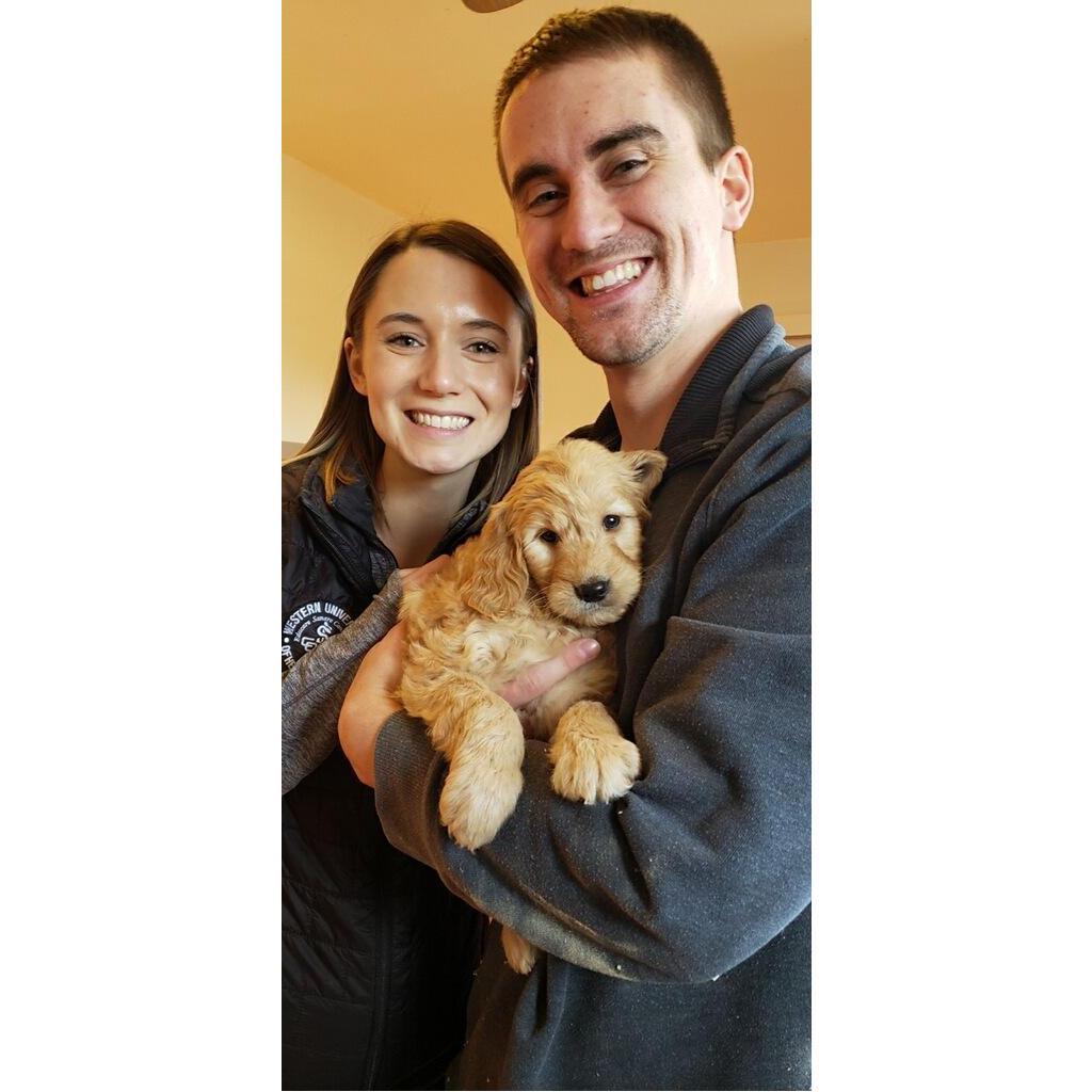 The day we picked out/met Ollie! - Feb 2020