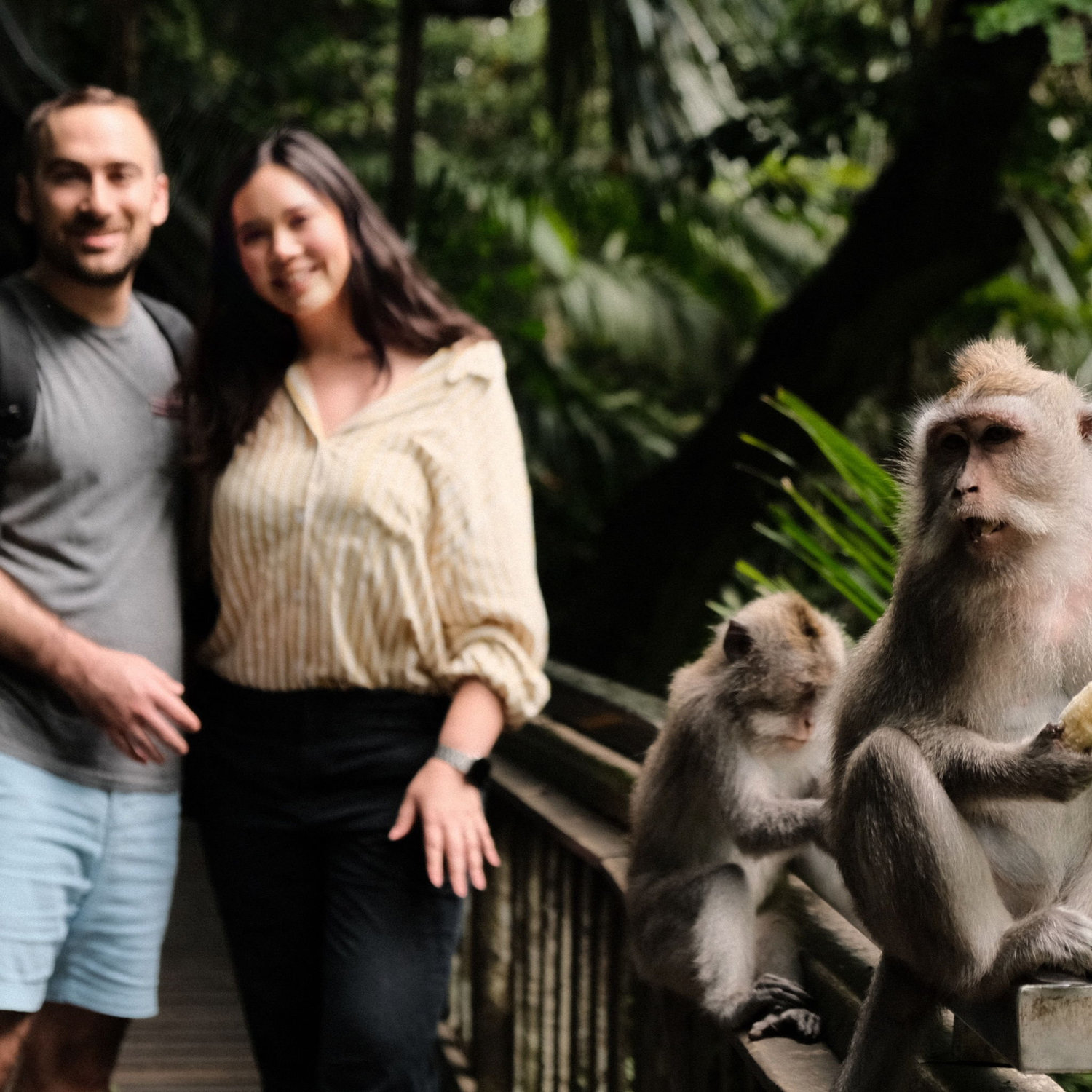 Monkey Temple in Ubud, Bali Indonesia