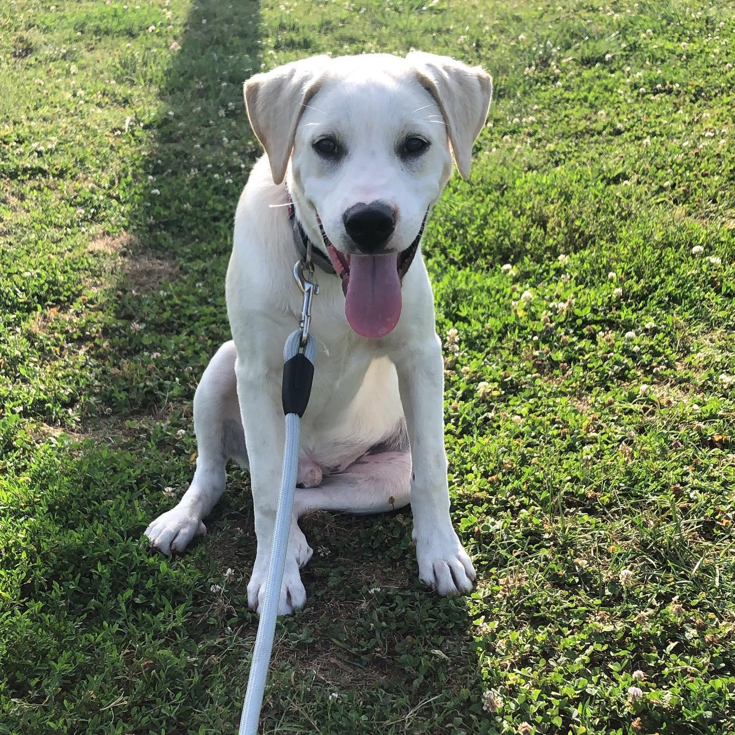 Our baby Murphy