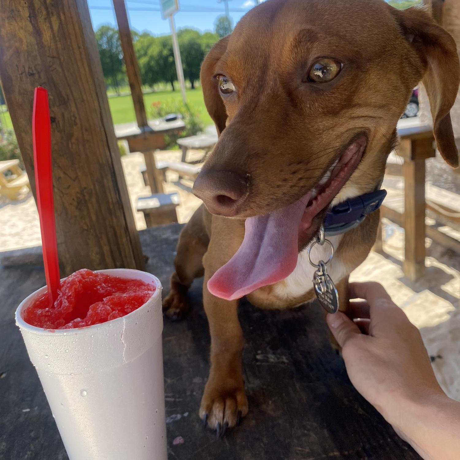 Had to cool off at McFarland with a Miami Ice