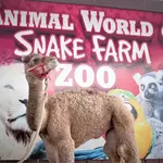 Animal World & Snake Farm Zoo