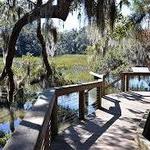 Coastal Discovery Museum